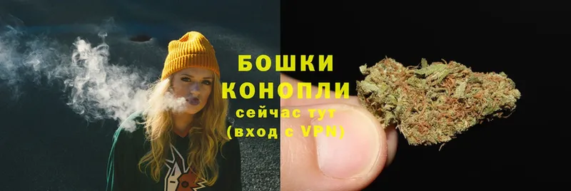 ссылка на мегу ТОР  Переславль-Залесский  Шишки марихуана Amnesia  купить наркоту 